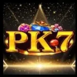 PK7 game logo