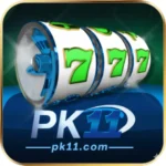 pk11 Game